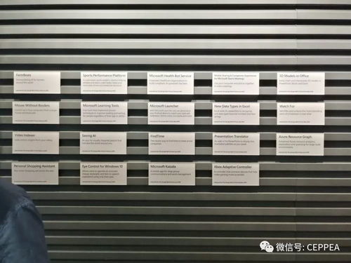 協(xié)會赴微軟公司開展數(shù)字化前沿技術交流活動